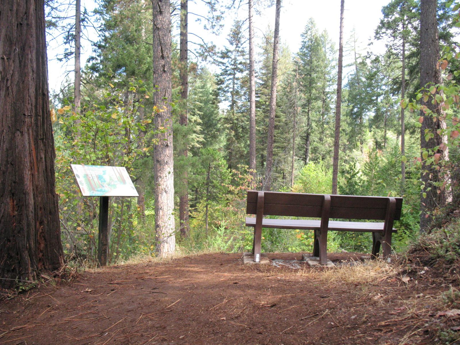 Orene Trail memorial bench back