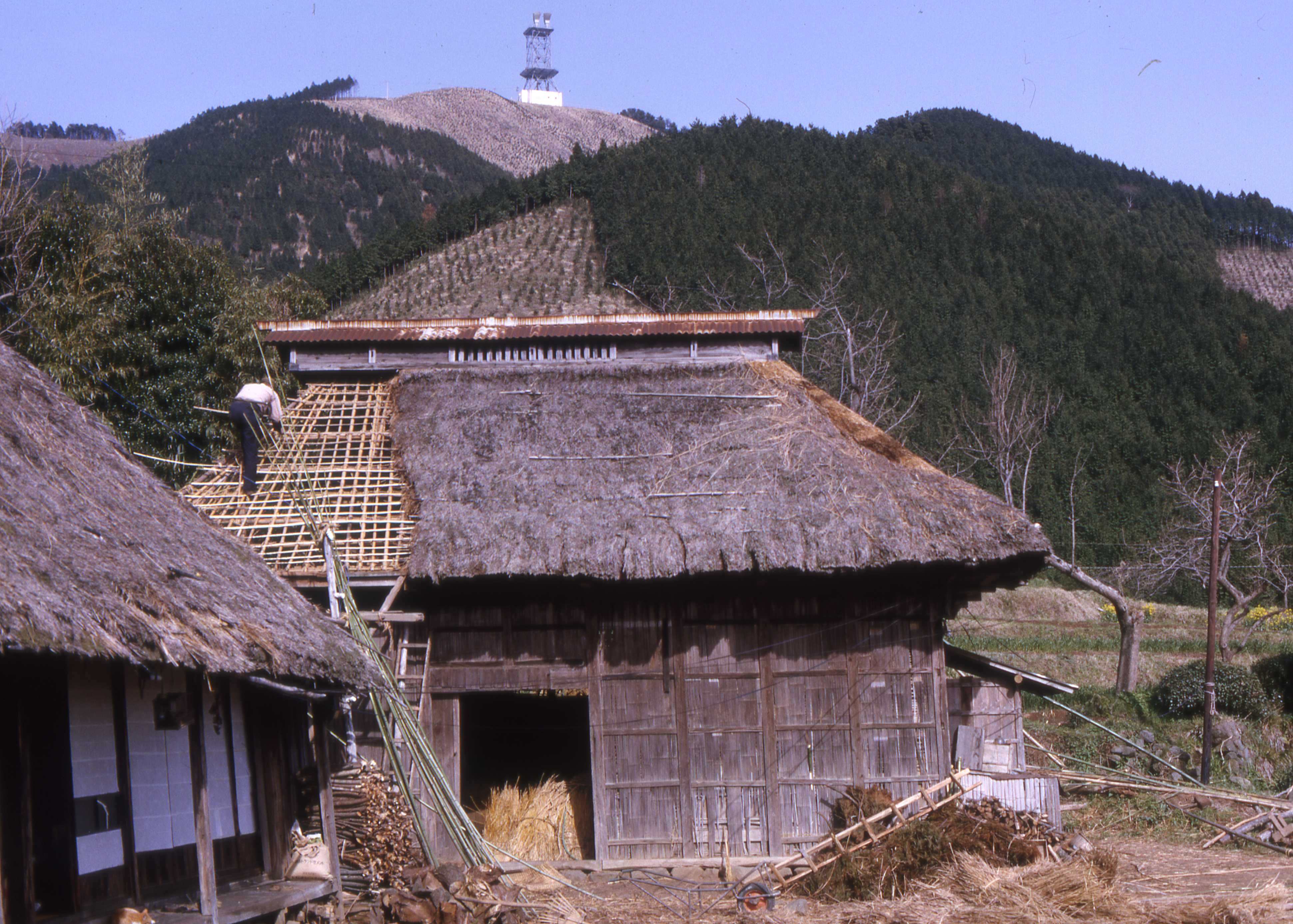 Thatching roof